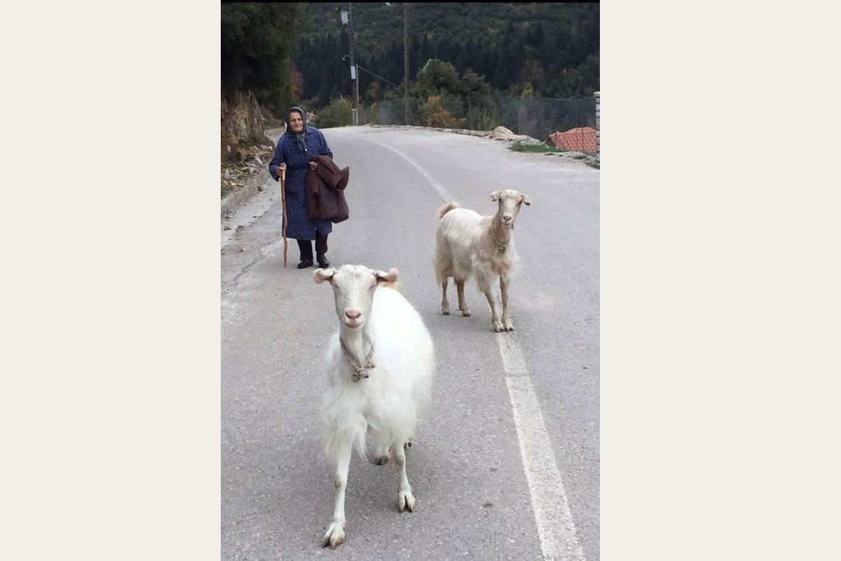 Discover Crete with Eye Travel Excursions jeep safari in the mountains